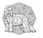 a101e0n0004236_kocici-a-psi-omalovanky_l