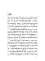 A101C0N0002565_tomik-opet-na-cestach_lis