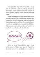 a101c0n0005341_hvezdy-nad-ukrajinou_list