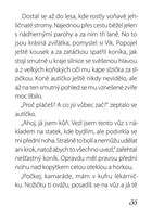 A101I0F0005733_letajici-auticko-vik-list