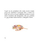 A101I0F0005241_toyen-ilustrovana-biograf