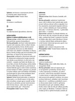 A101C0N0006073_Nemoc-jako-symbol_list4.j