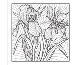 a101e0n0005032_kvetiny-omalovanky_list1.