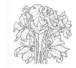 a101e0n0005032_kvetiny-omalovanky_list4.