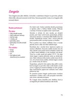 A101B0N0003517_marketa-v-troube-nove-rec