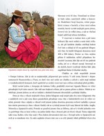 A101E0N0004968_Peru-myty-legendy-a-reali