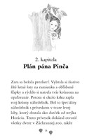 B102L10001037-zara-ajzz-zmateny-tucniaci