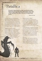 B102L10000680_Encyklopedie-Zaklinace-uka