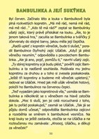 A101C0N0007237_kaja-a-bambulacek_list1.j