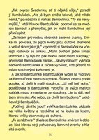 A101C0N0007237_kaja-a-bambulacek_list3.j