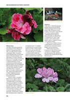 A101C0N0000715_encyklopedie-rostli-tropu