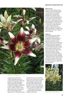 A101C0N0000715_encyklopedie-rostli-tropu