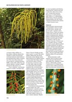 A101C0N0000715_encyklopedie-rostli-tropu