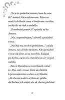 B102L10000569-mesacni-jazdci-3_listovani