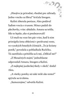 B102L10000569-mesacni-jazdci-3_listovani