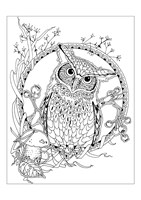 a101c0n0008189_magicke-omalovanky-list2.