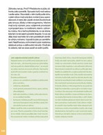 A101B0N0007318_Dzungloidni-zahrady_list3