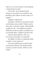 b102l10000359_strazkyne-magie-krystalovy