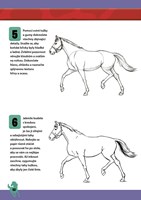 a101c0n0008129_jak-kreslit-zvirata-list3