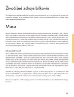 A101C0N0009622_Zaciname-s-prikrmy_list1.