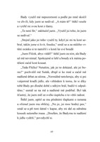 A101E0N0007595_Australsky-ovcak_list3.jp