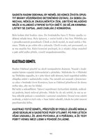 a101b0n0009271_skutecne-zlociny-brno-lis