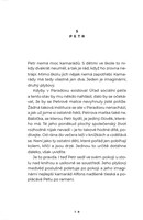 A101I0F0008171_mala-magicka-katastrofa-l