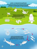 b102l10001197_kniha-so-samolepkami-svet-