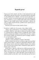 a101n0f0005833_kdo-odejde-uz-se-nevraci-