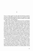 a101n0f0005831_jednoho-krasneho-dne-list