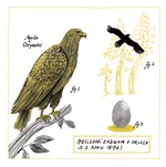 0094139994_9788075582713_Pod_skalou_list