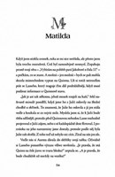 a10130f0001815_pomnenka_co-za-svetla-nen