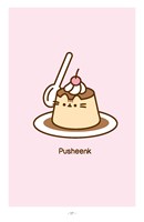 a10130F0005871_pusheen-kosisaty-navod-na