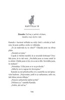 a10130F0006700_vezmi-si-me-srdce-list4.j