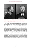 A101Z0F0000887_nebezpecna-bezpecnost-lis