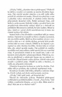 a101Z0F0007023_pribeh-spalovace-mrtvol-l