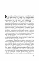 a101Z0F0007023_pribeh-spalovace-mrtvol-l