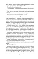 A101V0F0001033_Tehdy-jsme-zili-v-letni-z