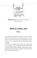 a10130F0000548_10-pravd-a-spousta-odvahy