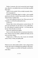 a10130f0001330_medovník-s-peprem-list-2.