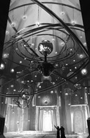 a10130F0001491_arila-posledni-hvezda-lis