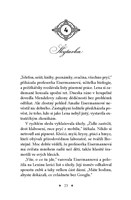 a10130F22784_srdce-casu-neviditelne-mest