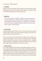 A101B0N0010179_Slepice-do-mesta-i-vesnic