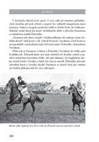 A10160F0000559_130-taxisu-velke-pardubic