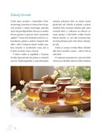 A10160F0003332_Vesele-velikonoce-list2.j