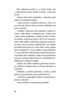 A10160F0005155_Pripad-preletaveho-staroz