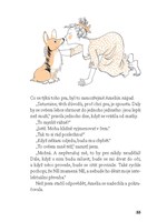 A10160F0006293_Saturnin-pri-chuti-list1.