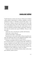 A10160F0007698_s-laskou-te-nenavidim_lis