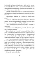 a101f0f0000339_ponici-od-stribrne-reky-d