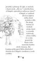 a101f0f0000357_ema-ajkz-7-snazivy-medvid